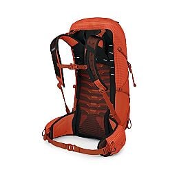 Talon™ Pro 30 - US 5024
