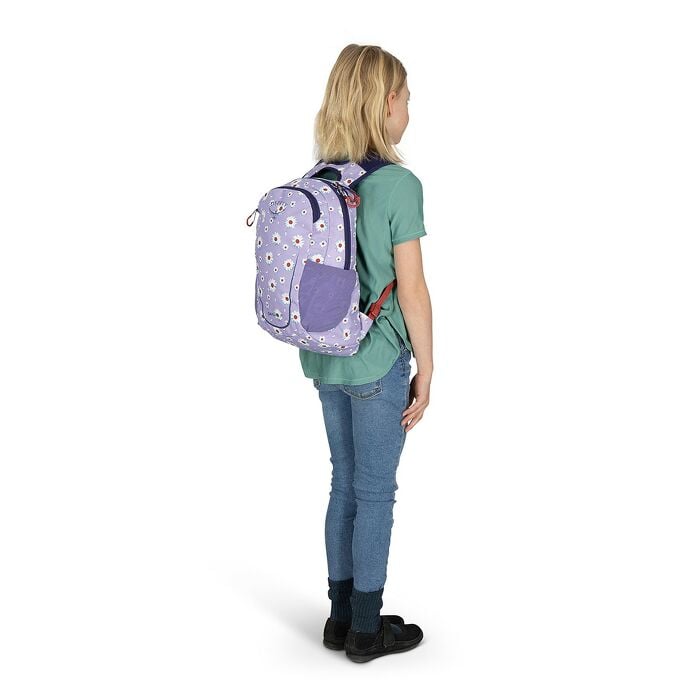 Daylite™ Jr. - US 9290