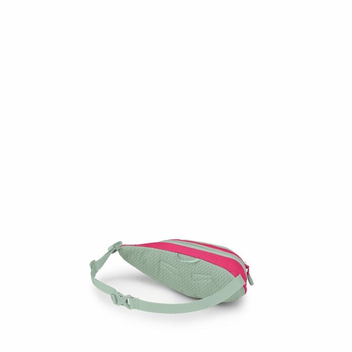 Daylite™ Mini Waist Pack - US 0620