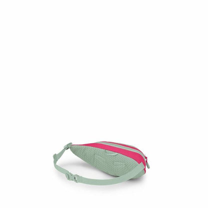 Daylite™ Mini Waist Pack - US 0620