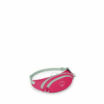 Daylite™ Mini Waist Pack - US 0620