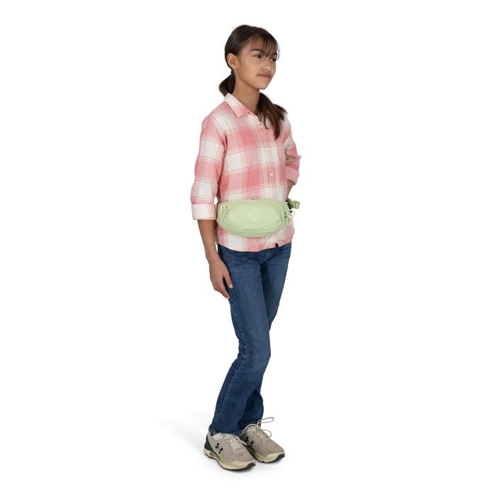 Daylite™ Mini Waist Pack - US 6700