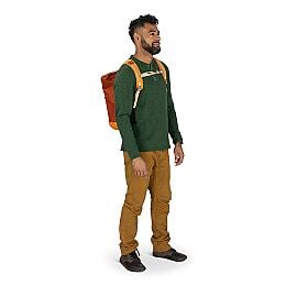 Daylite™ Tote Pack - US 8519