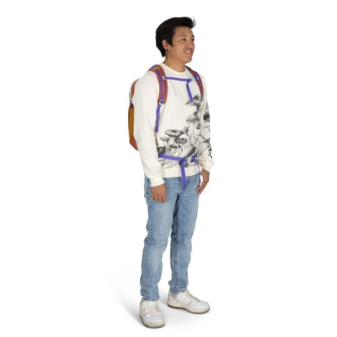 Daylite™ - US 8572