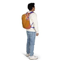Daylite™ - US 1544
