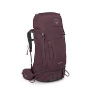 Elderberry Purple