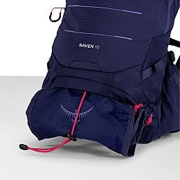 Raven 10 - US 1525