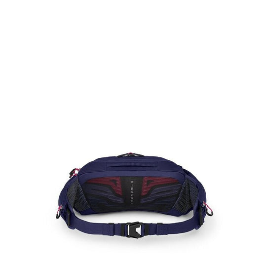 Raven 4 - US 7004