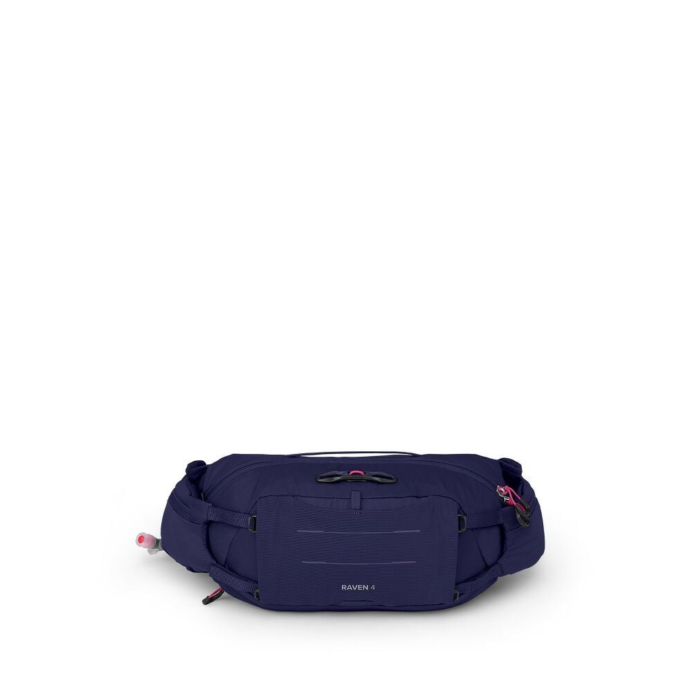 Raven 4 - US 3433