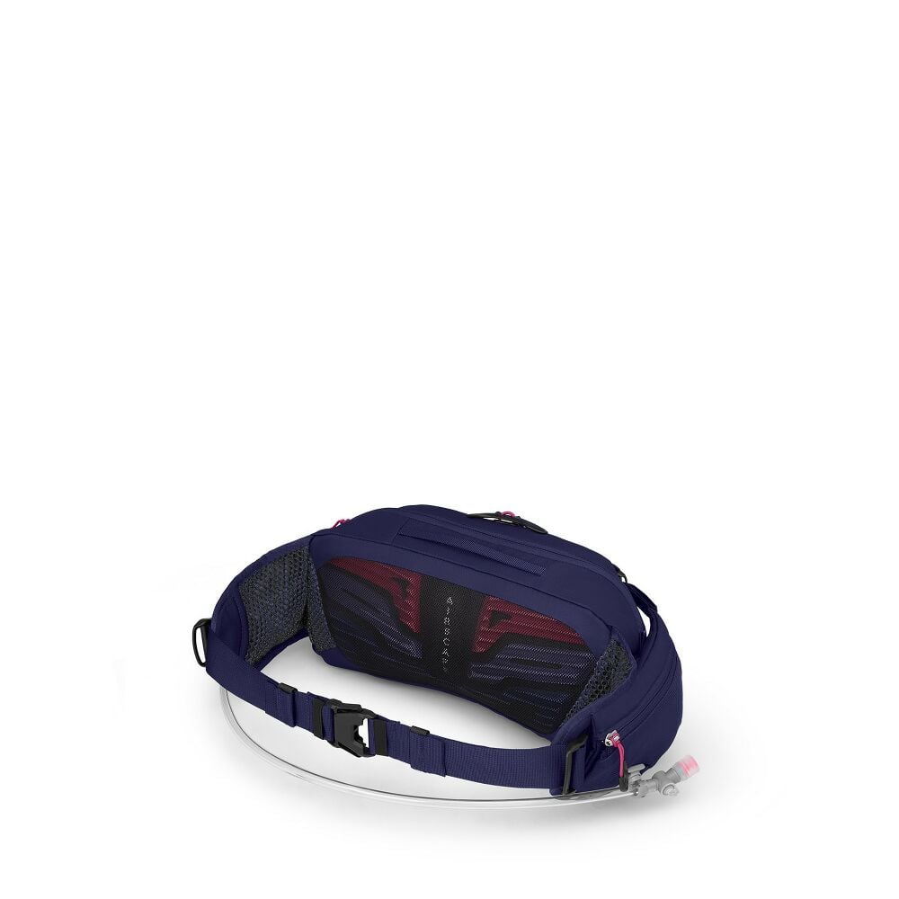 Raven 4 - US 3433