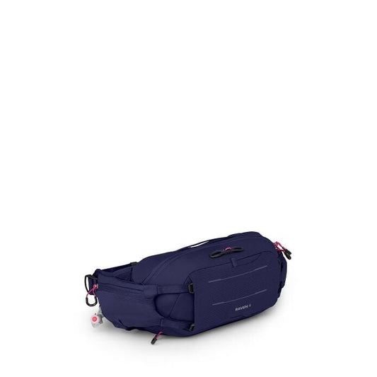 Raven 4 - US 3433
