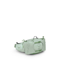 Frosty Mint Green/Botanica