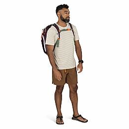 Transporter™ Travel Pack 36 - US 0881