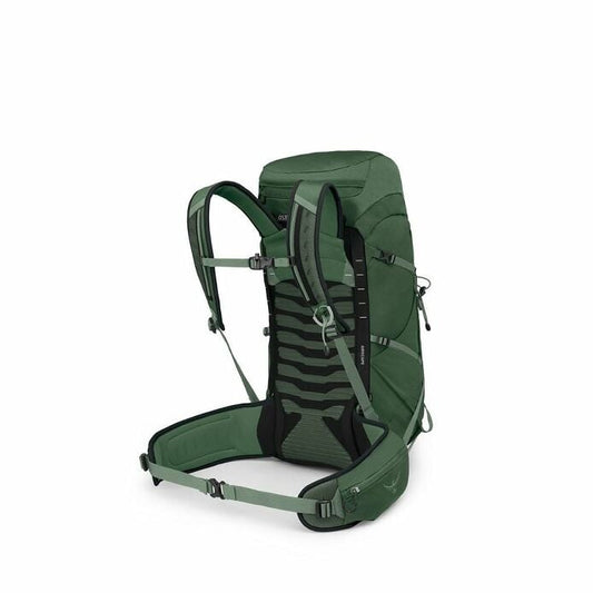 Talon™ 33 Extended Fit - US 6431
